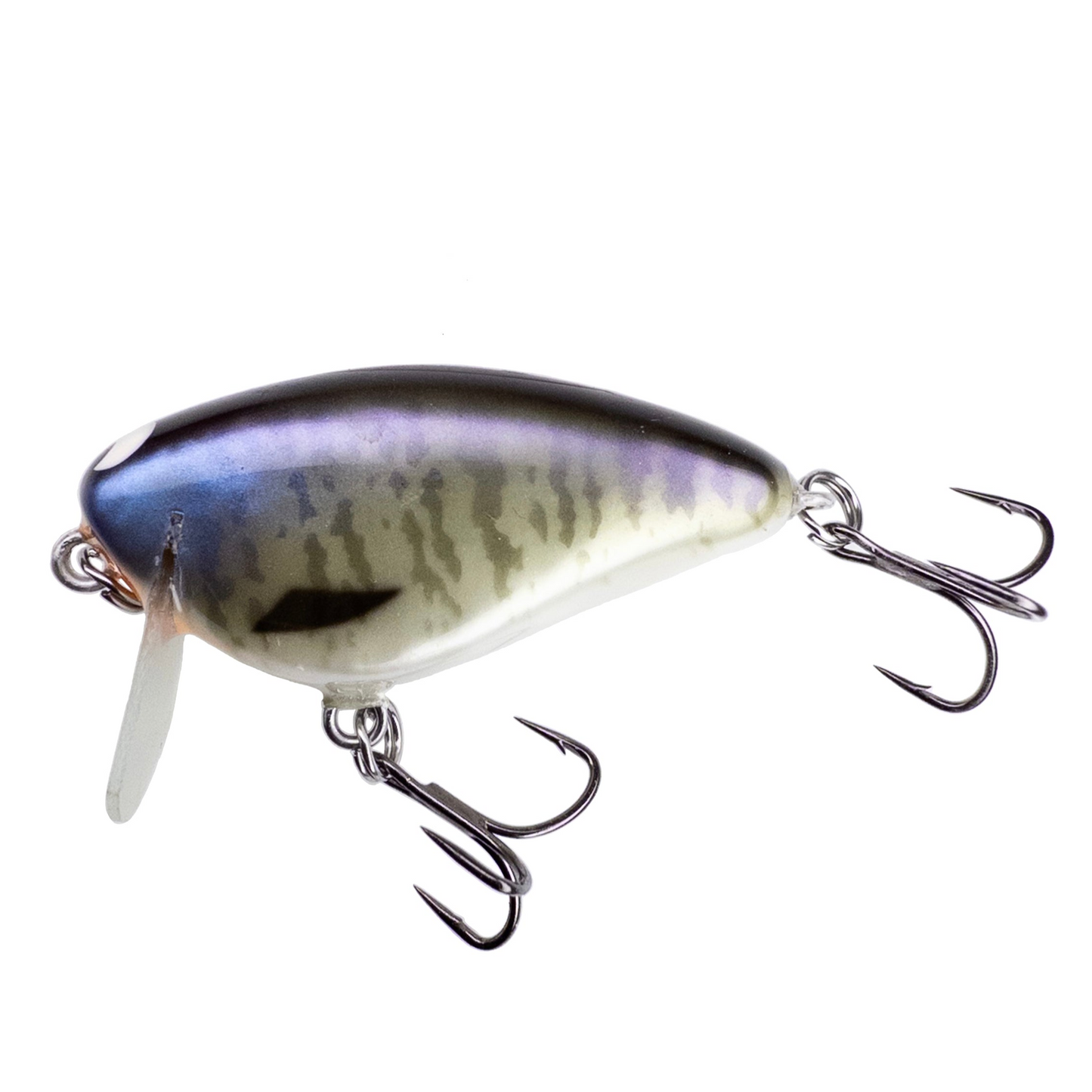 Bacon SSR Balsa Crankbait