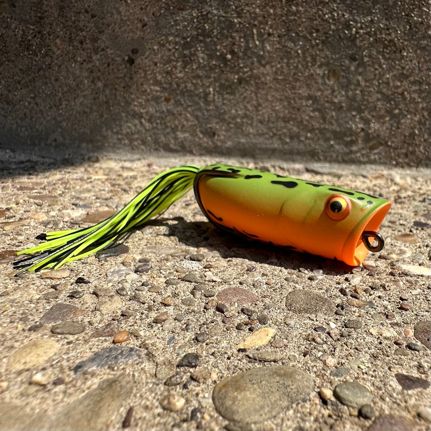 Poppin’ Frog