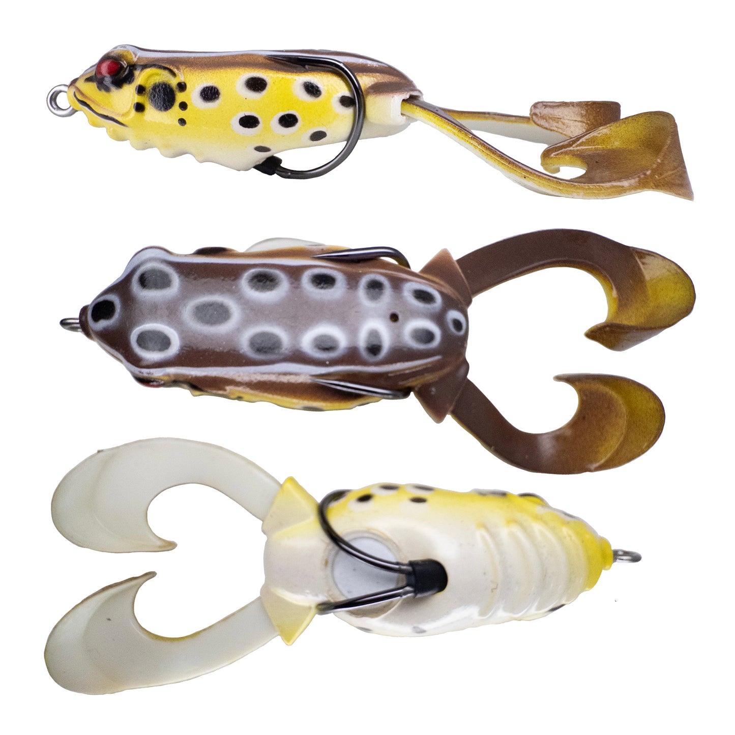 Outlier Frog