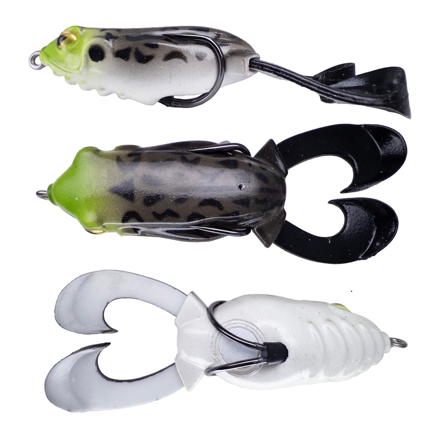 Outlier Frog
