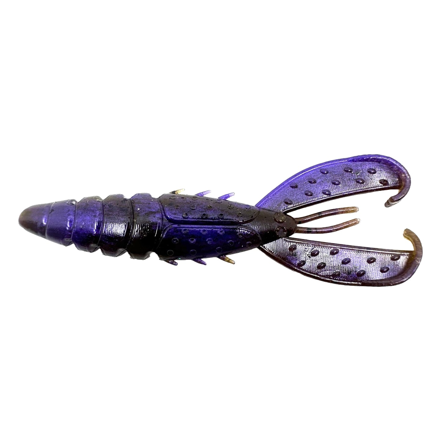 CP Craw