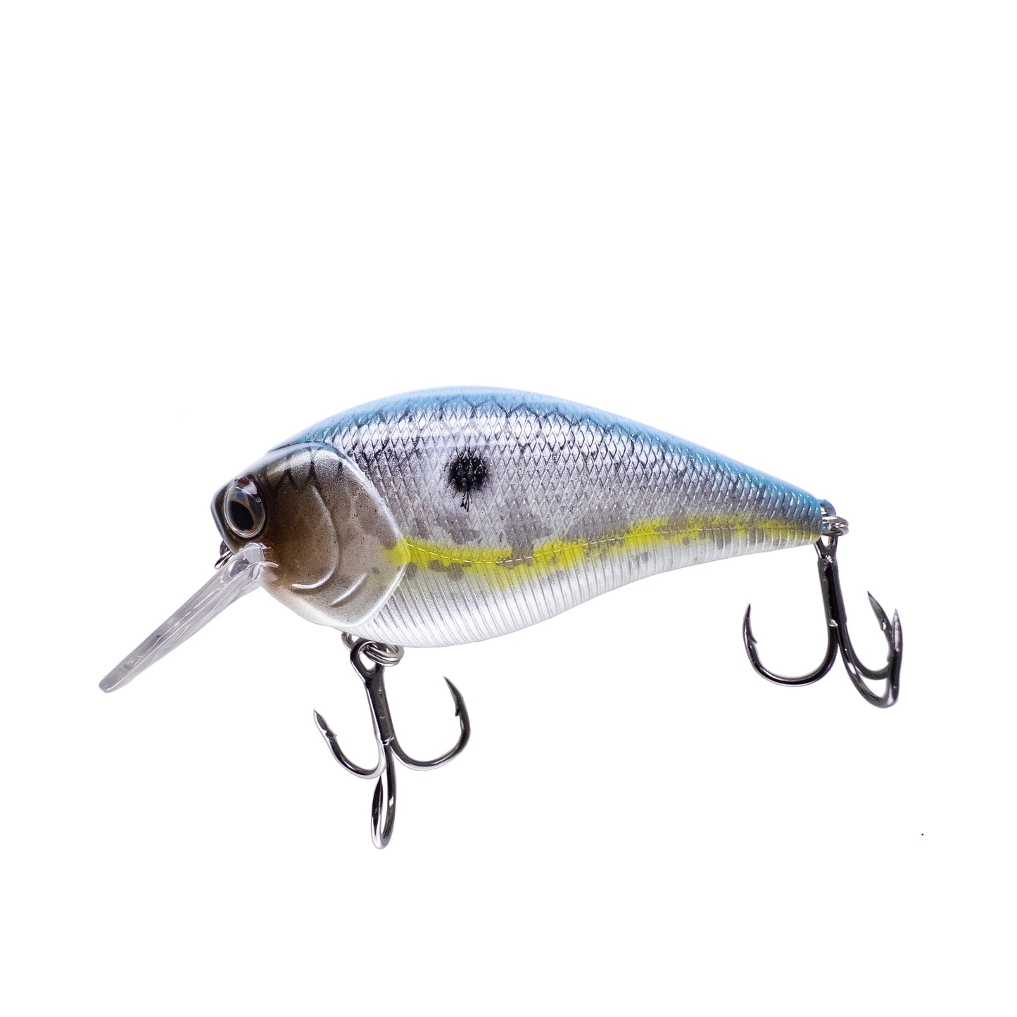 Alpheus 1.5m