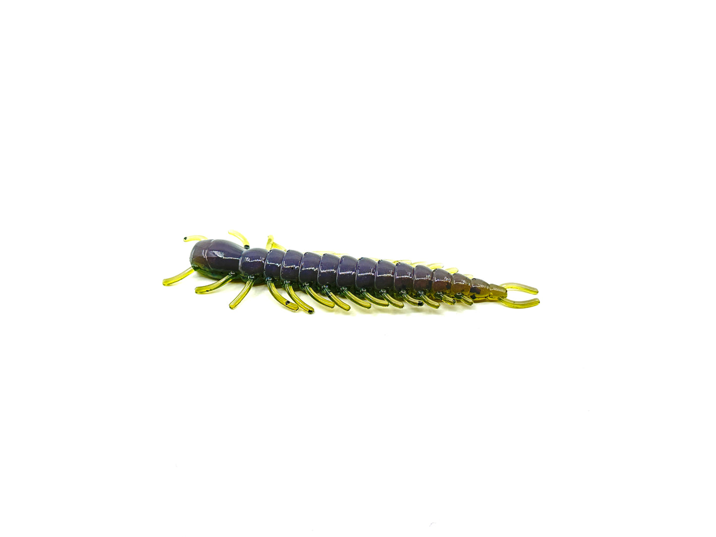 Jolly Bait Company-The South Fork Hellgrammite