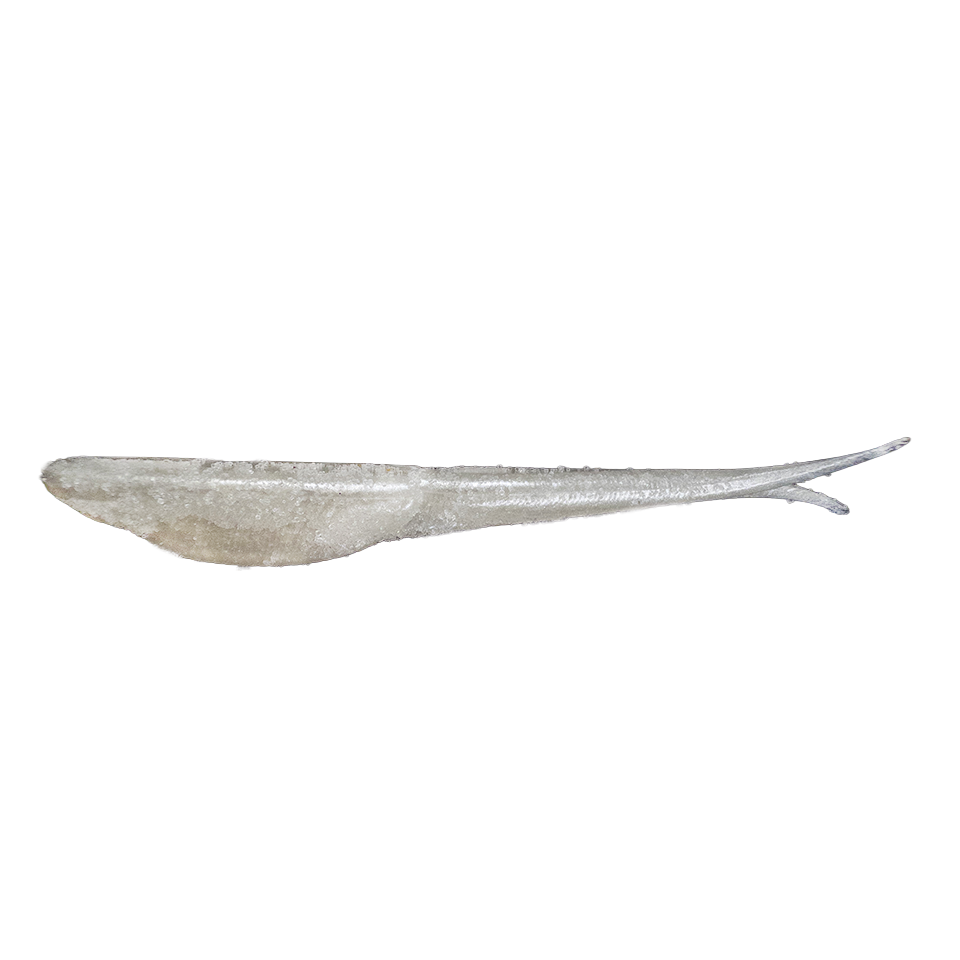 Mortal Minnow