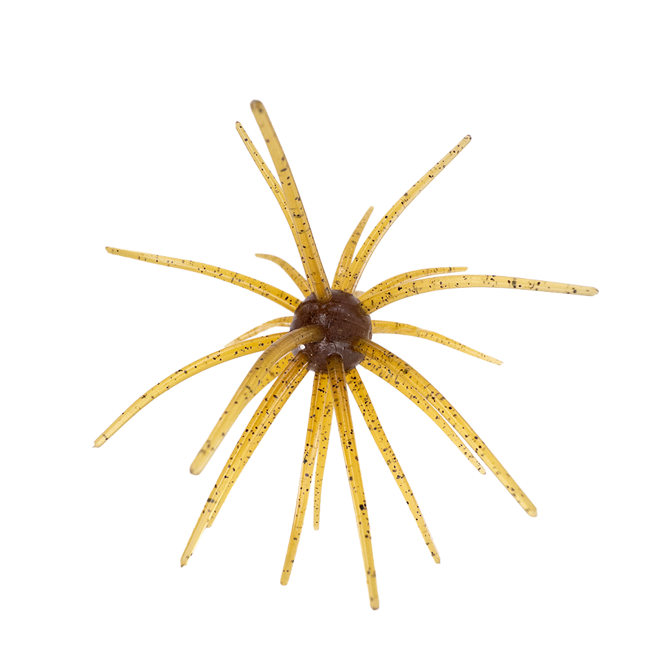 OFO, Urchin Bait