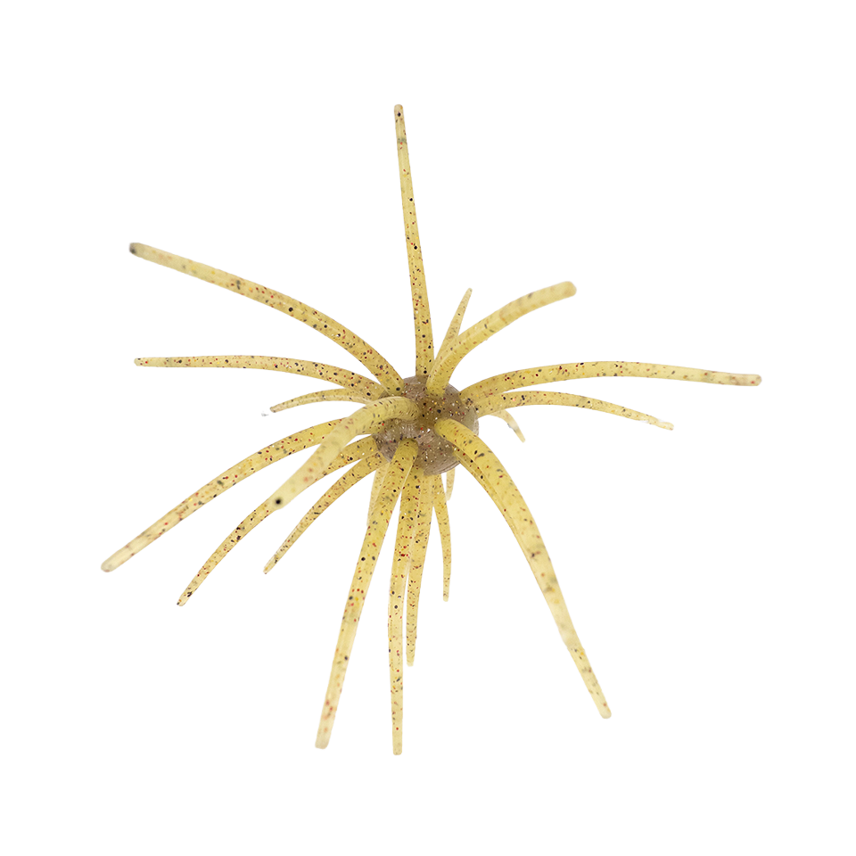 OFO, Urchin Bait