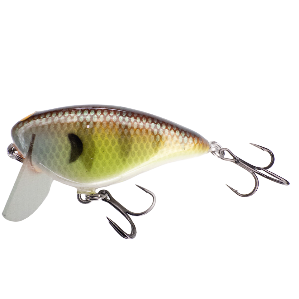 Bacon SSR Balsa Crankbait