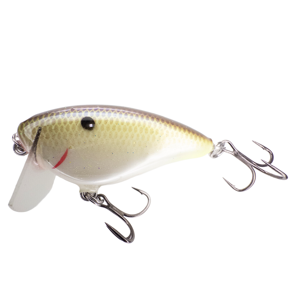 Bacon SSR Balsa Crankbait