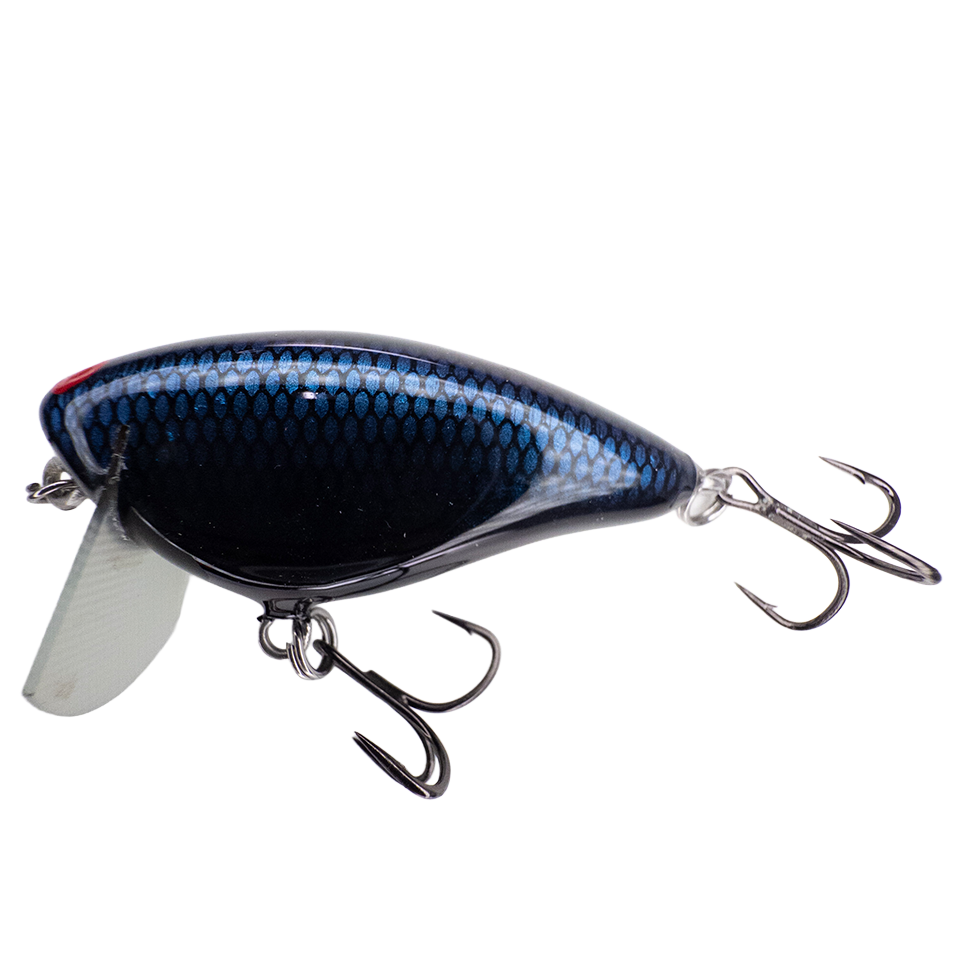 Bacon SSR Balsa Crankbait