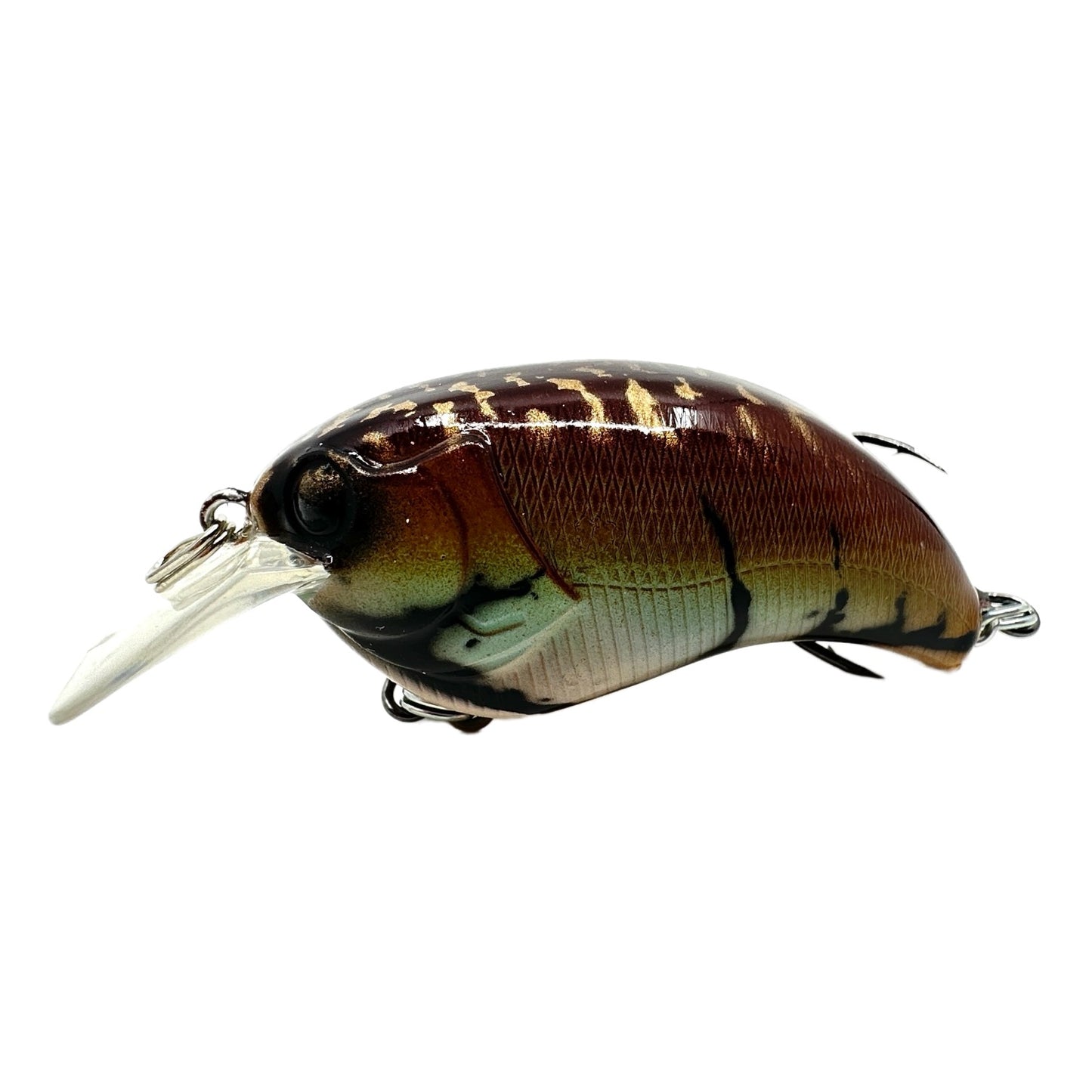 Robusto Custom Lures-Hunchback 2.0