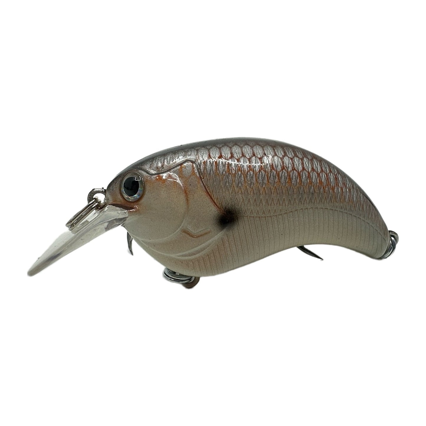 Robusto Custom Lures-Hunchback 2.0