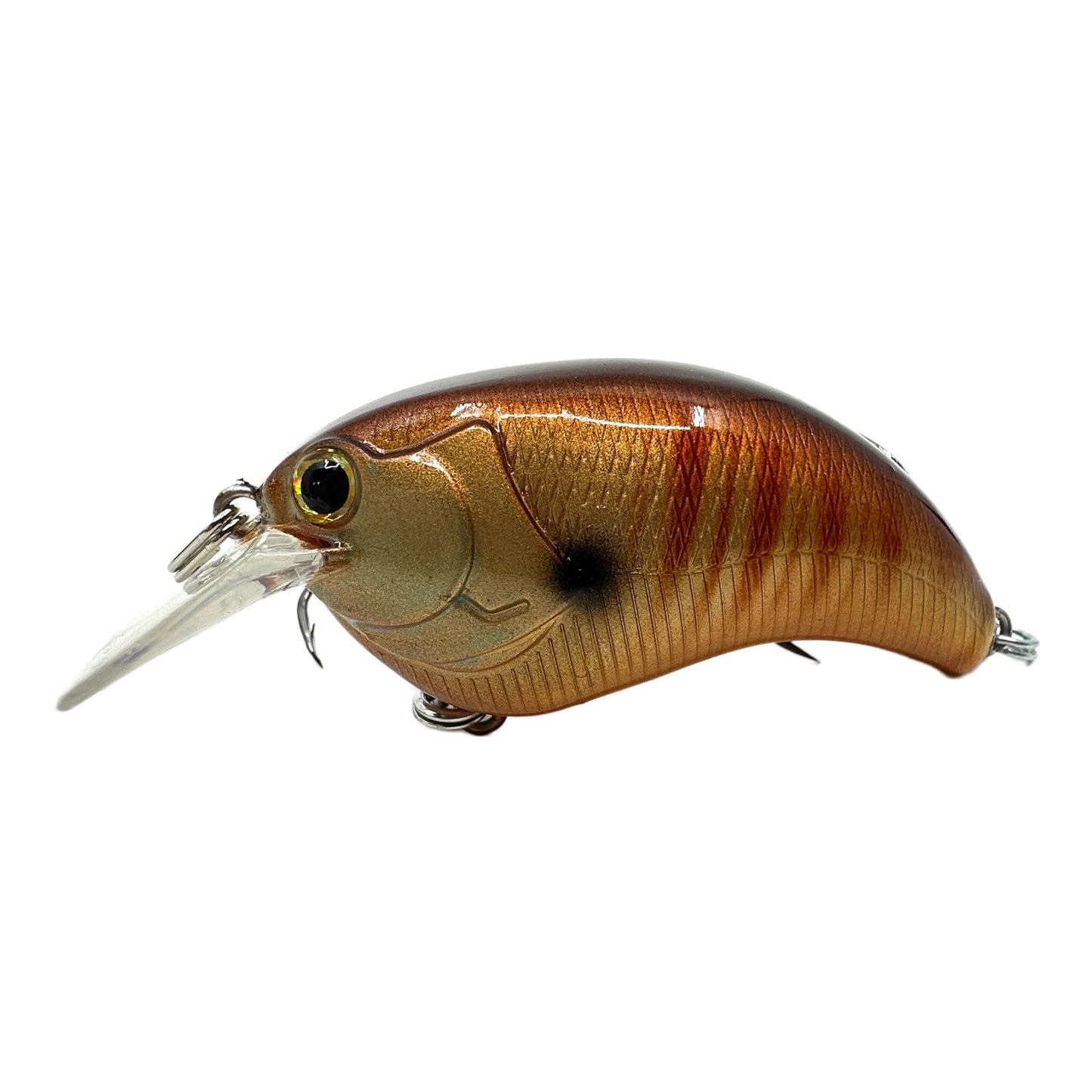 Robusto Custom Lures-Hunchback 2.0