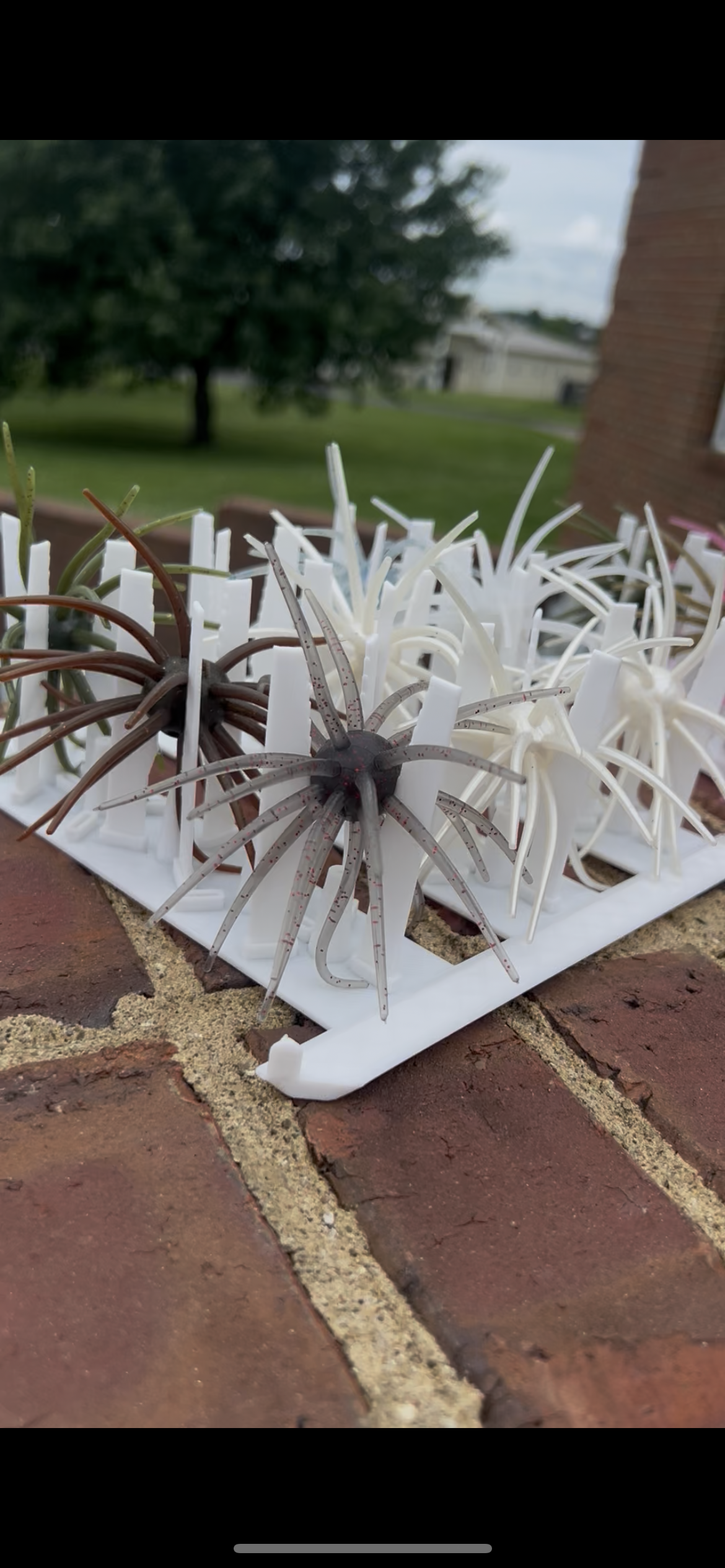 Urchin Insert