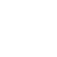 Martins custom baits