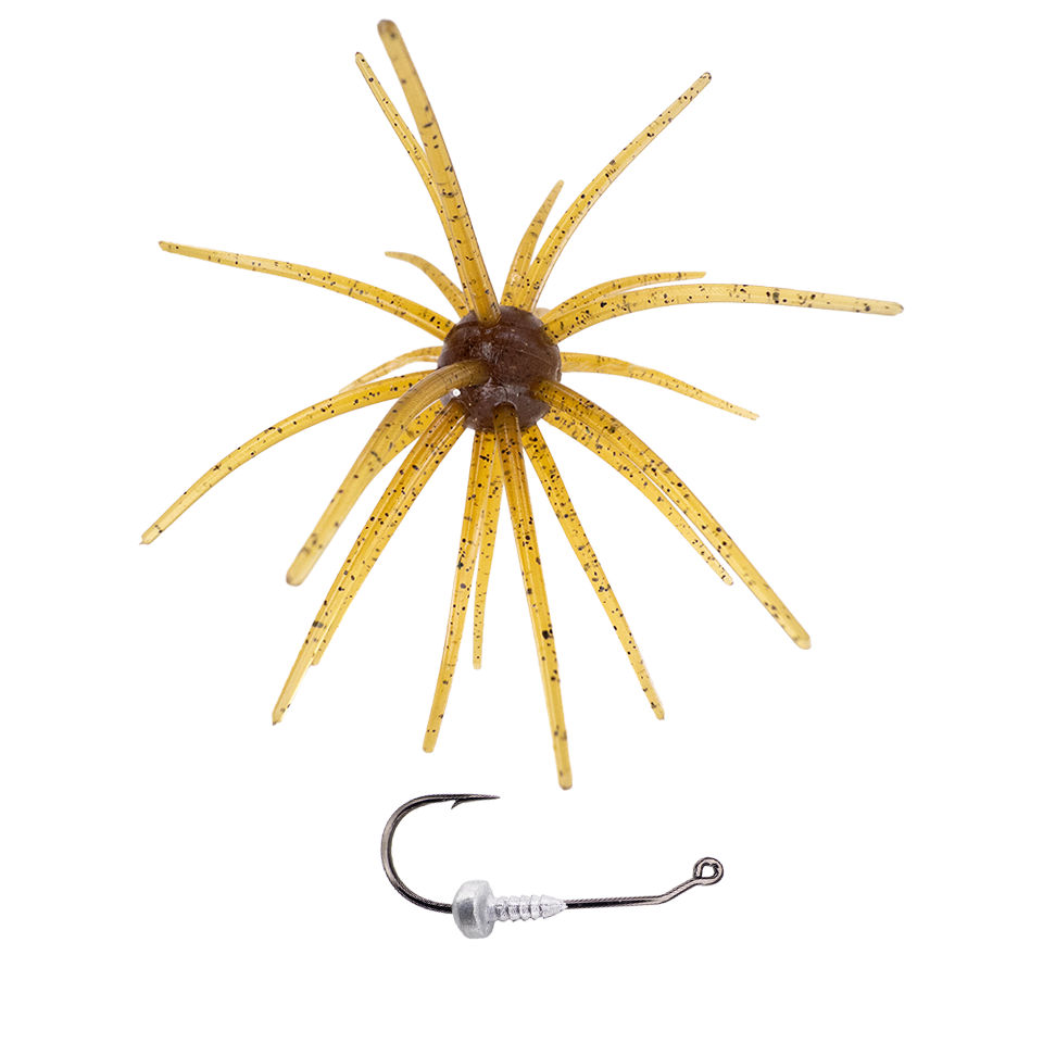 OFO, Urchin Bait➕OFO Head