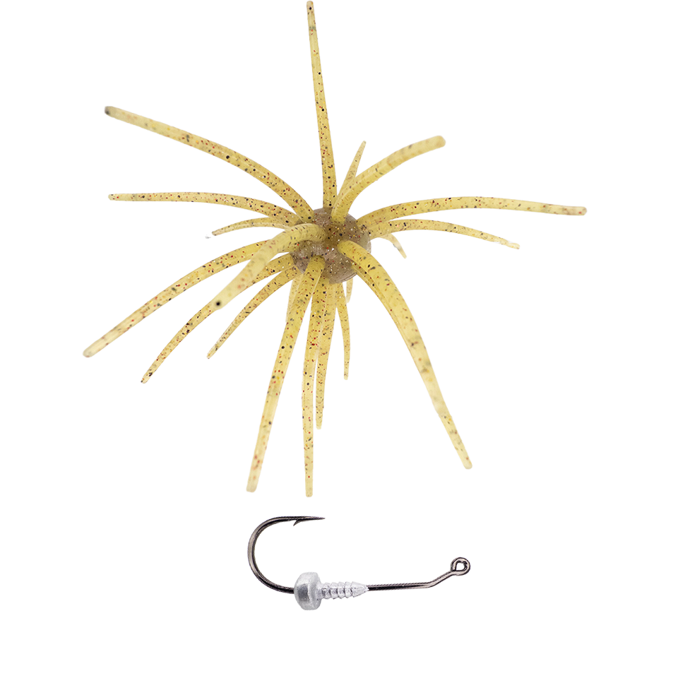 OFO, Urchin Bait➕OFO Head