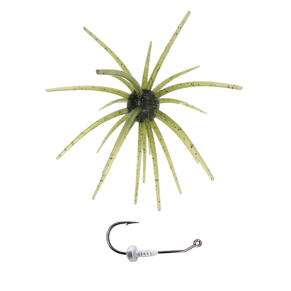 OFO, Urchin Bait➕OFO Head