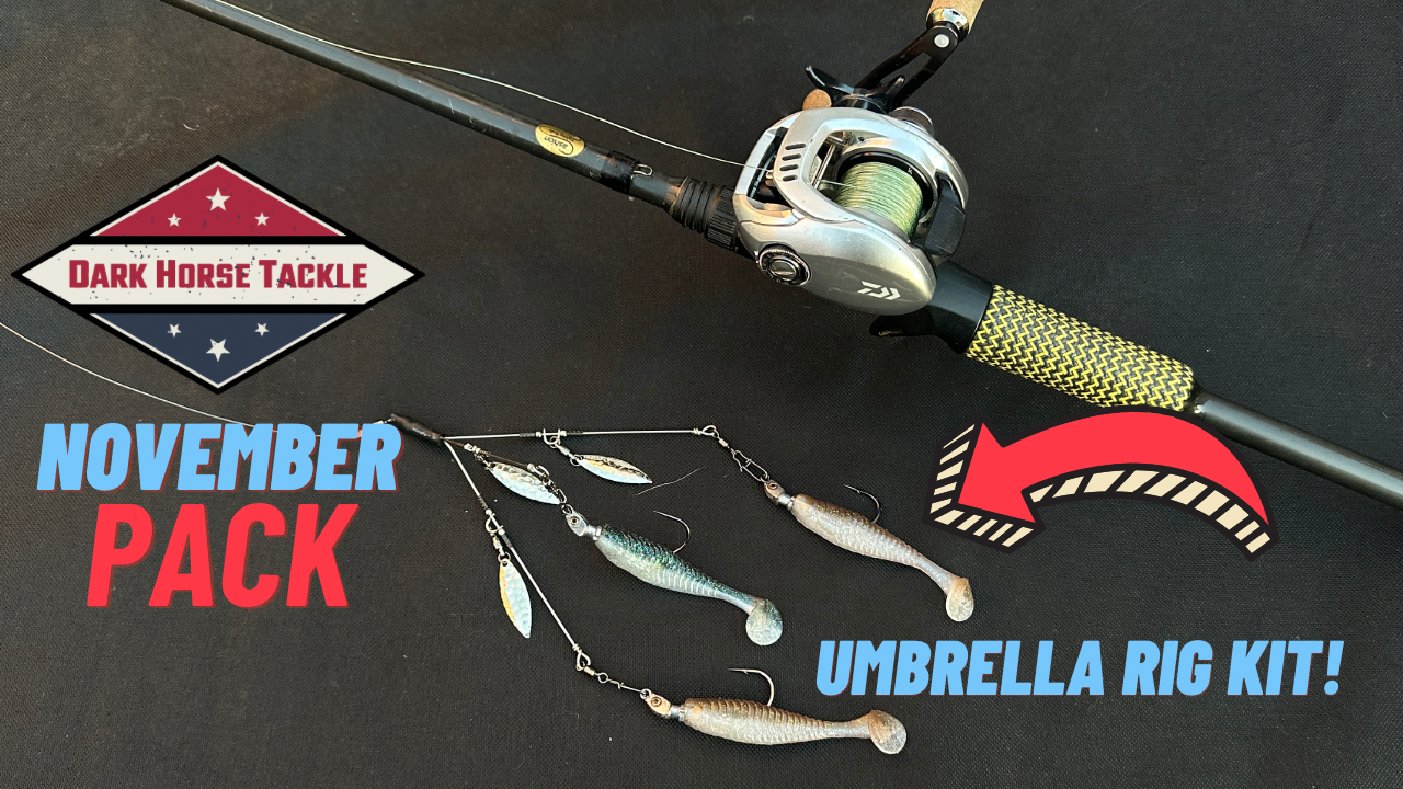 Load video: Dark Horse Tackle October Box with Explanations and Tips