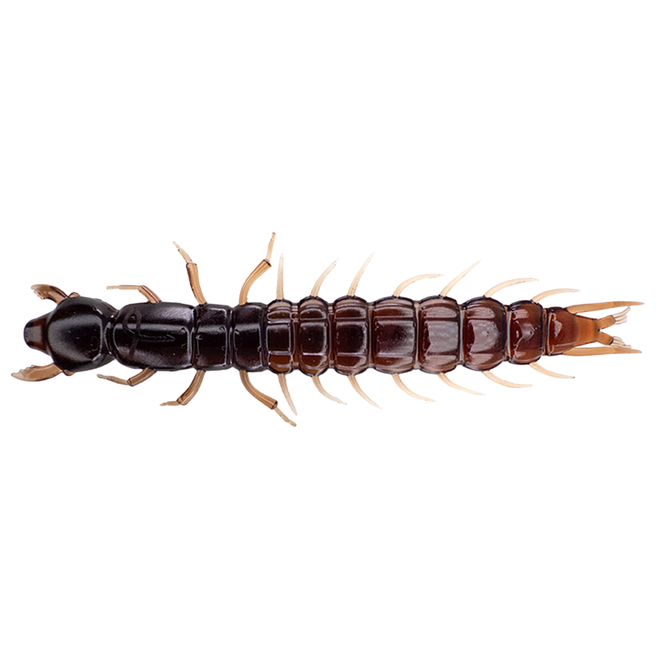 3.7" Hellgrammite
