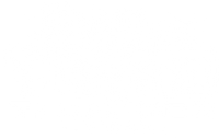 Toad Thumper