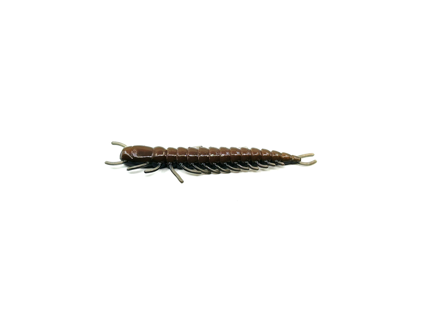 Jolly Bait Company-The South Fork Hellgrammite